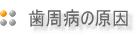 歯周病の原因